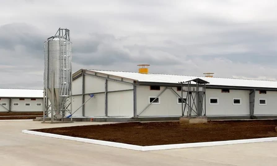 Ile kosztuje budowa chlewni? Szczegółowy przegląd kosztów i materiałów