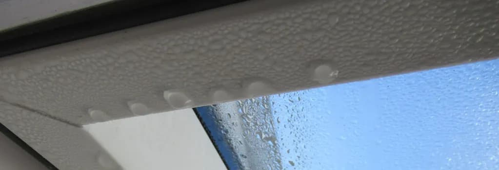 Czemu na oknach skrapla się woda? Oto skuteczne sposoby na zapobieganie